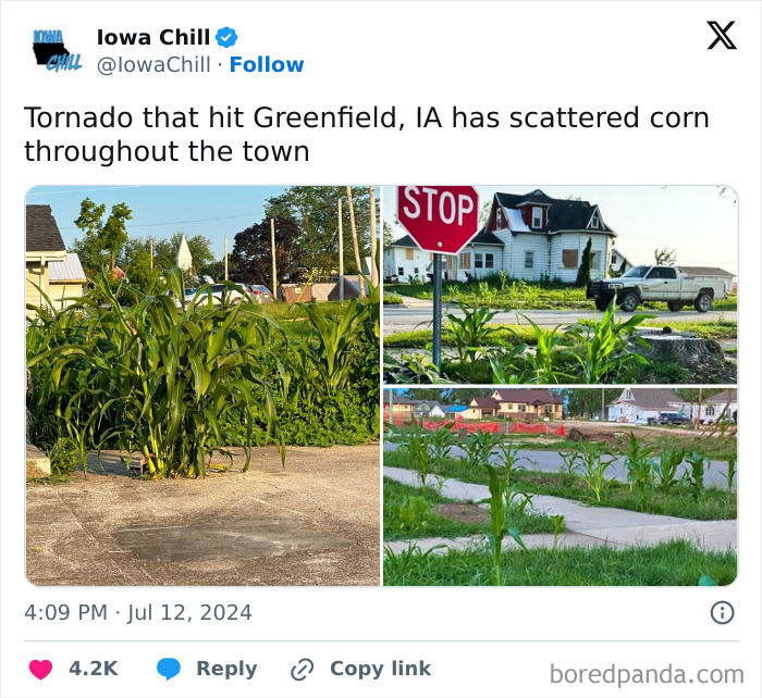 You Know You're in Iowa When a Tornado Plants Corn Everywhere