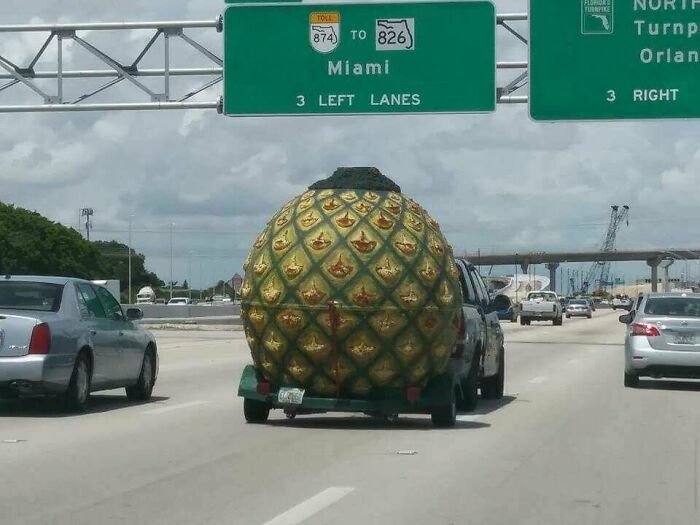 Why Is SpongeBob Moving Out? Hurricane Drama!