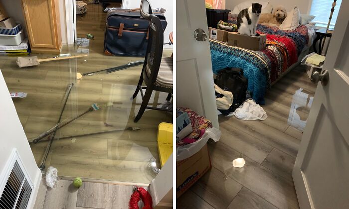 Rainstorm Revenge: One Month After House Repairs, Flood Hits Again