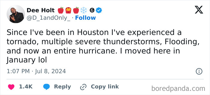 Welcome to the City... Where Nature Has Other Plans