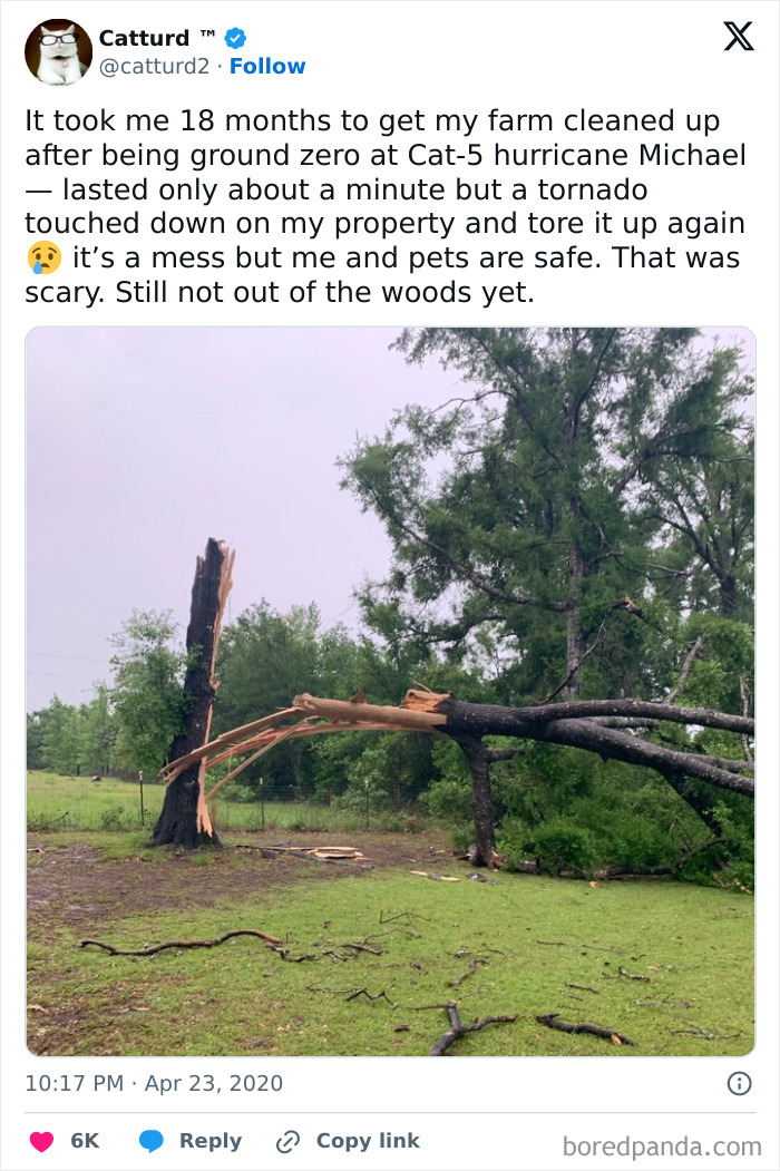 Glad Everyone Made It Through This Wild Ride