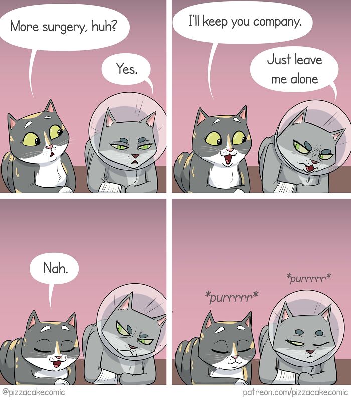 33 Comics About Family, Cats, And Life’s Messy Awkwardness That Will Crack You Up
