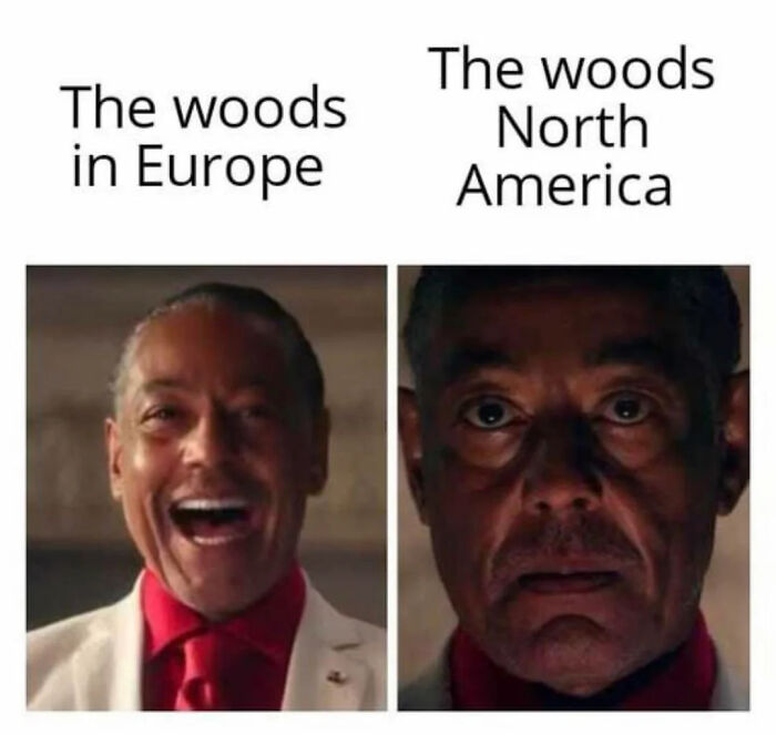 Peter Explains: Why North American Woods Are So Wild