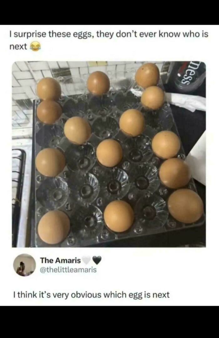 Peter Explains: Which Egg Comes Next? The Answer Is Symmetry