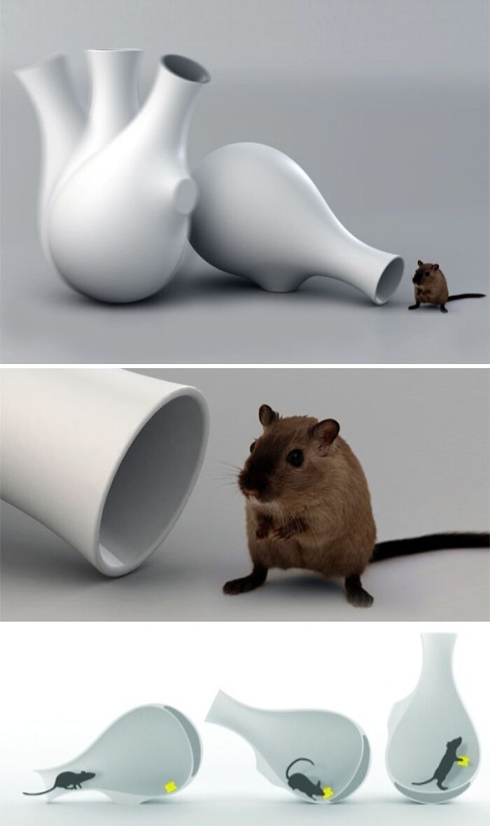 Pretty & Kind: The Mousetrap Vase You'll Actually Want in Your Living Room