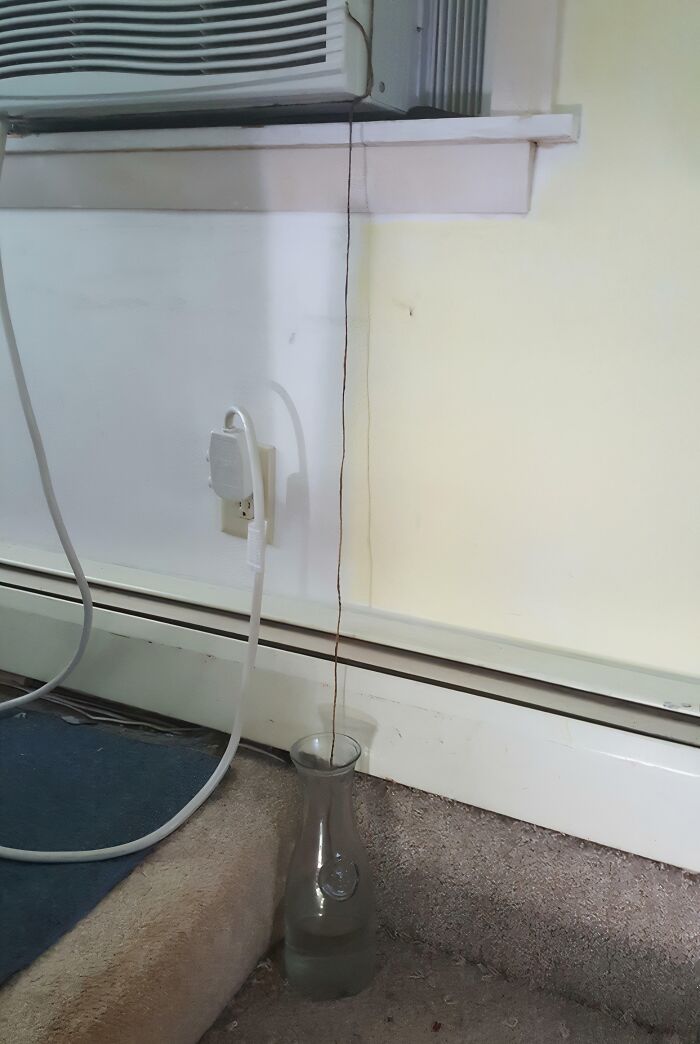 When Your AC Drips Into a Pitcher Like a Pro