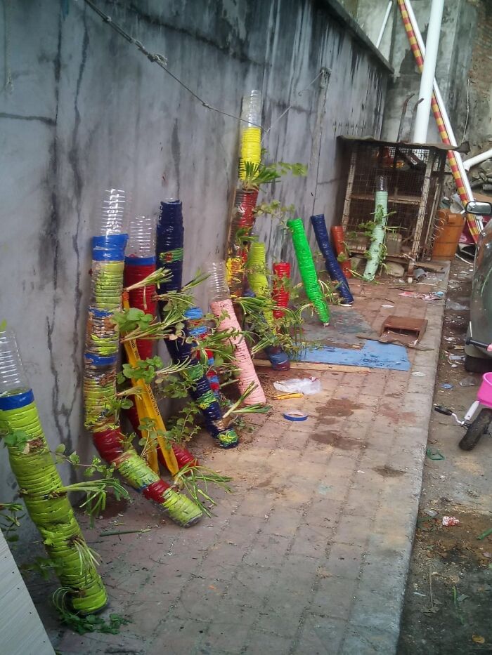 Plastic Bottles and Drip Magic Growing Gardens Vertically