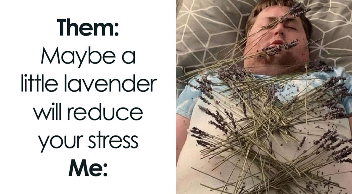 The 71 Randomly Hilarious Memes You Didn’t Know You Needed Today