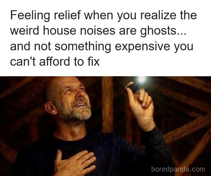The 71 Randomly Hilarious Memes You Didn’t Know You Needed Today