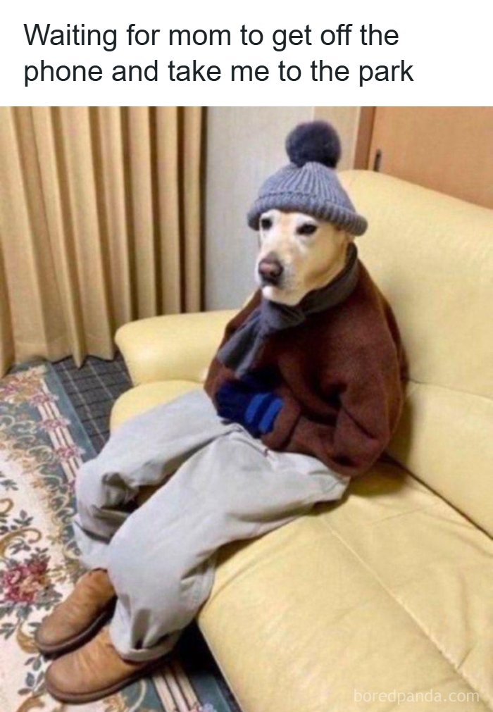 The 71 Randomly Hilarious Memes You Didn’t Know You Needed Today