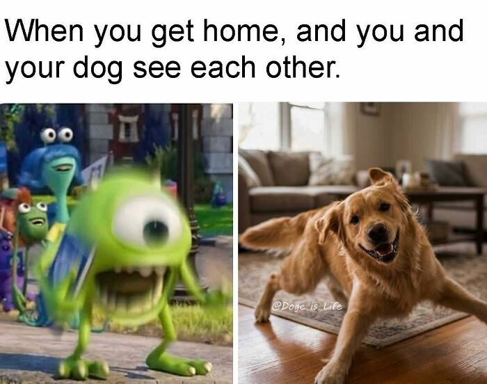 The 71 Randomly Hilarious Memes You Didn’t Know You Needed Today