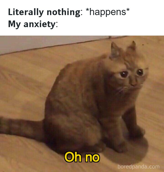 The 71 Randomly Hilarious Memes You Didn’t Know You Needed Today
