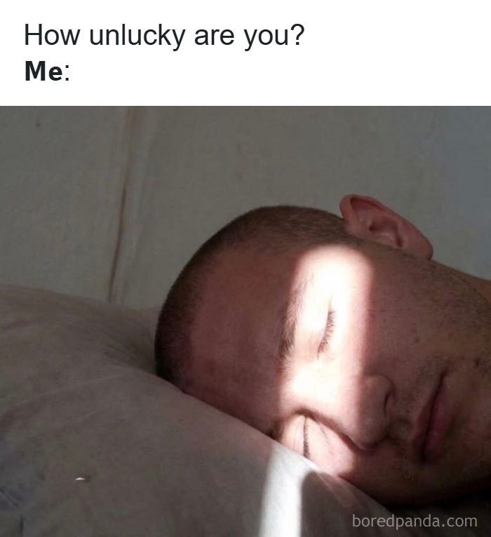 The 71 Randomly Hilarious Memes You Didn’t Know You Needed Today