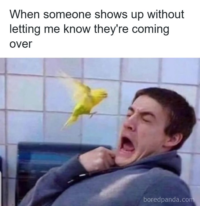 The 71 Randomly Hilarious Memes You Didn’t Know You Needed Today