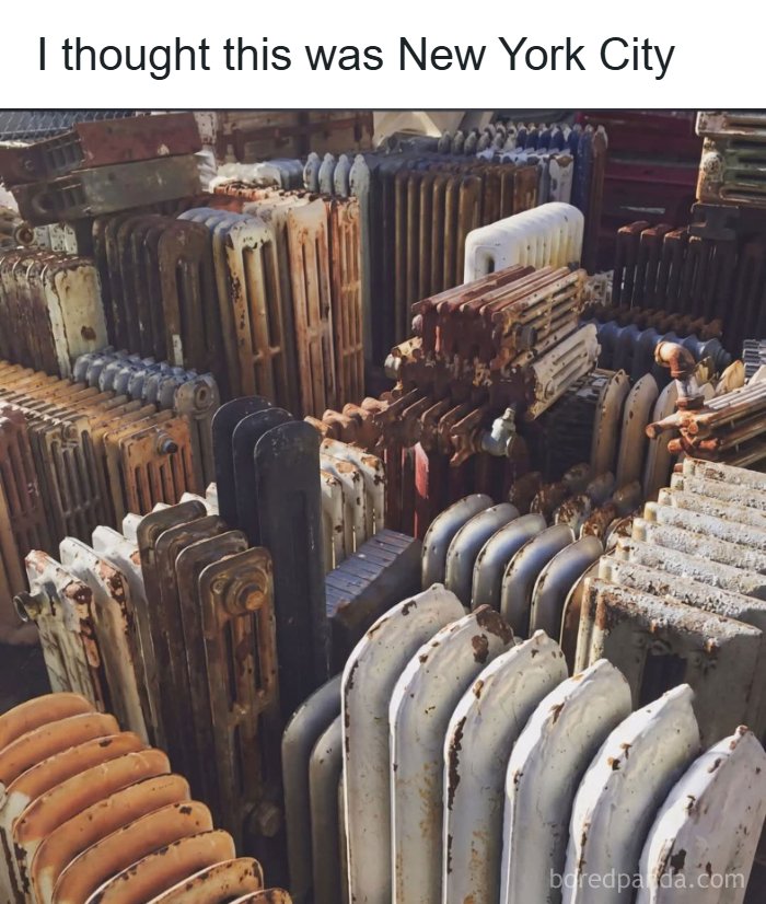 The 71 Randomly Hilarious Memes You Didn’t Know You Needed Today