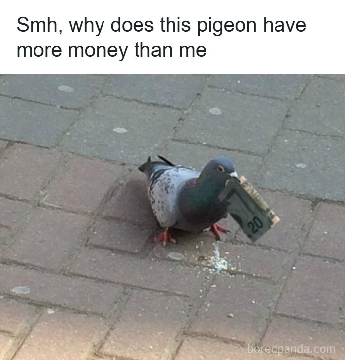 The 71 Randomly Hilarious Memes You Didn’t Know You Needed Today
