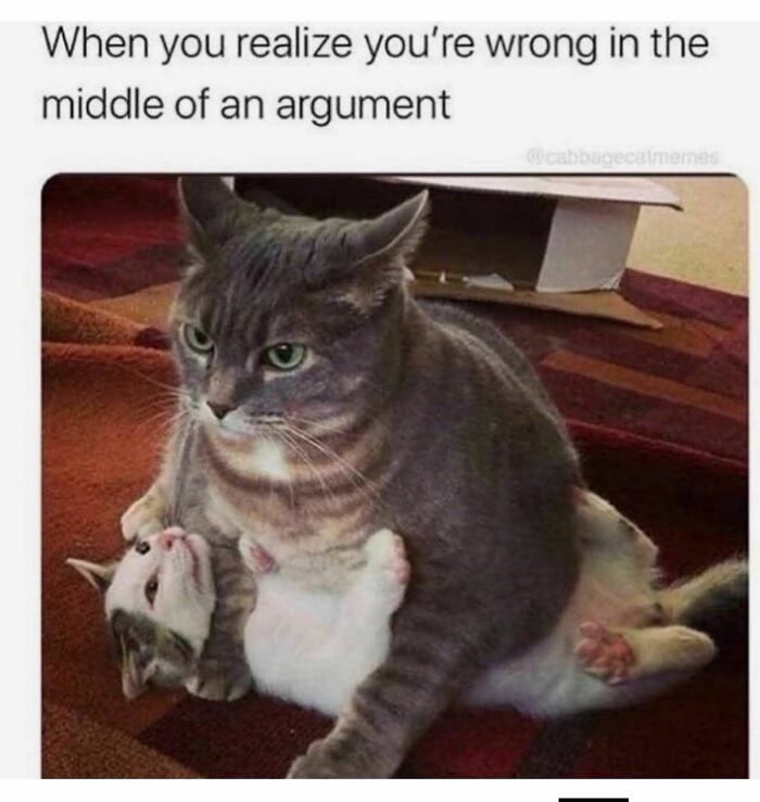 The 71 Randomly Hilarious Memes You Didn’t Know You Needed Today