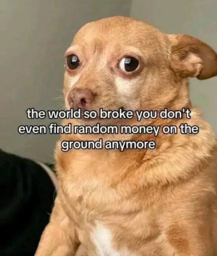 The 71 Randomly Hilarious Memes You Didn’t Know You Needed Today