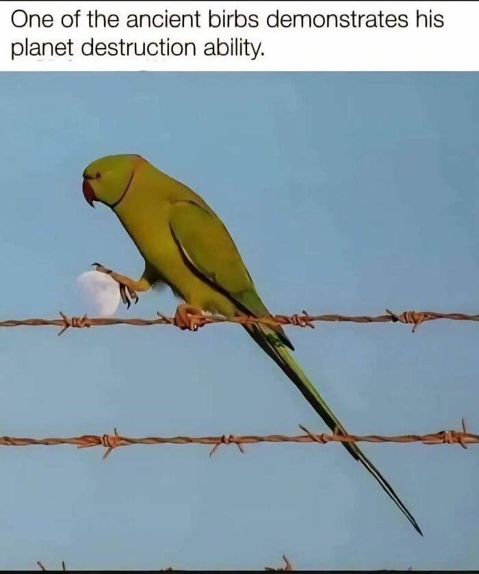 The 71 Randomly Hilarious Memes You Didn’t Know You Needed Today