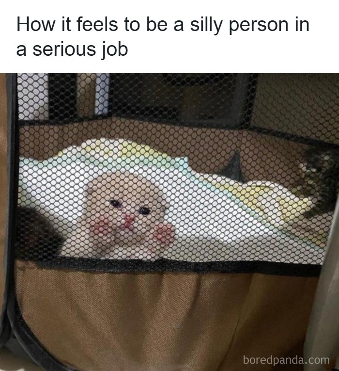 The 71 Randomly Hilarious Memes You Didn’t Know You Needed Today