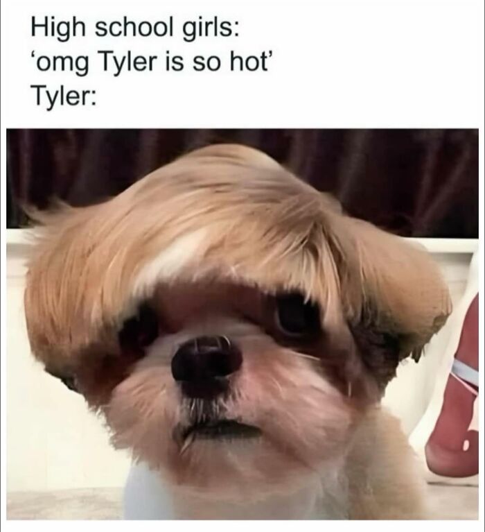 The 71 Randomly Hilarious Memes You Didn’t Know You Needed Today