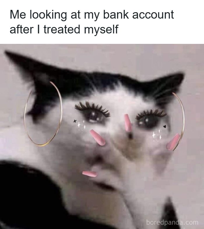 The 71 Randomly Hilarious Memes You Didn’t Know You Needed Today