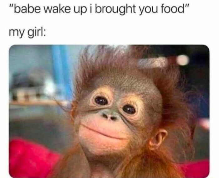 The 71 Randomly Hilarious Memes You Didn’t Know You Needed Today