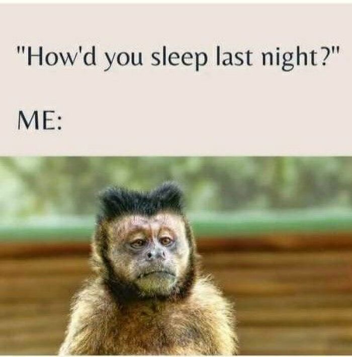 The 71 Randomly Hilarious Memes You Didn’t Know You Needed Today