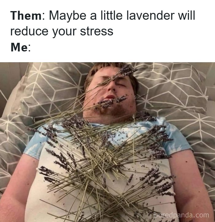 The 71 Randomly Hilarious Memes You Didn’t Know You Needed Today
