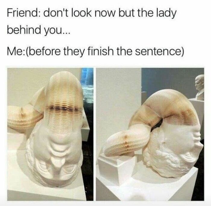 The 71 Randomly Hilarious Memes You Didn’t Know You Needed Today