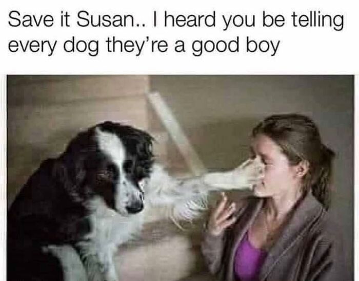 The 71 Randomly Hilarious Memes You Didn’t Know You Needed Today