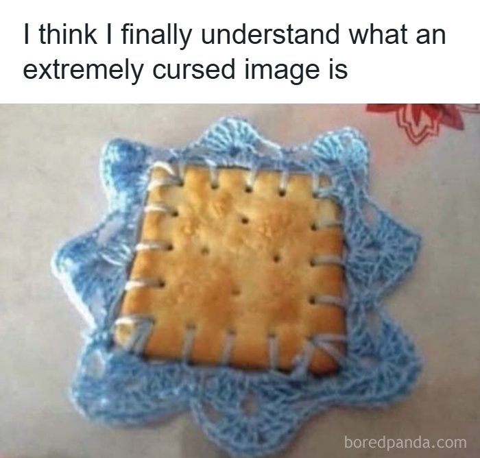 The 71 Randomly Hilarious Memes You Didn’t Know You Needed Today