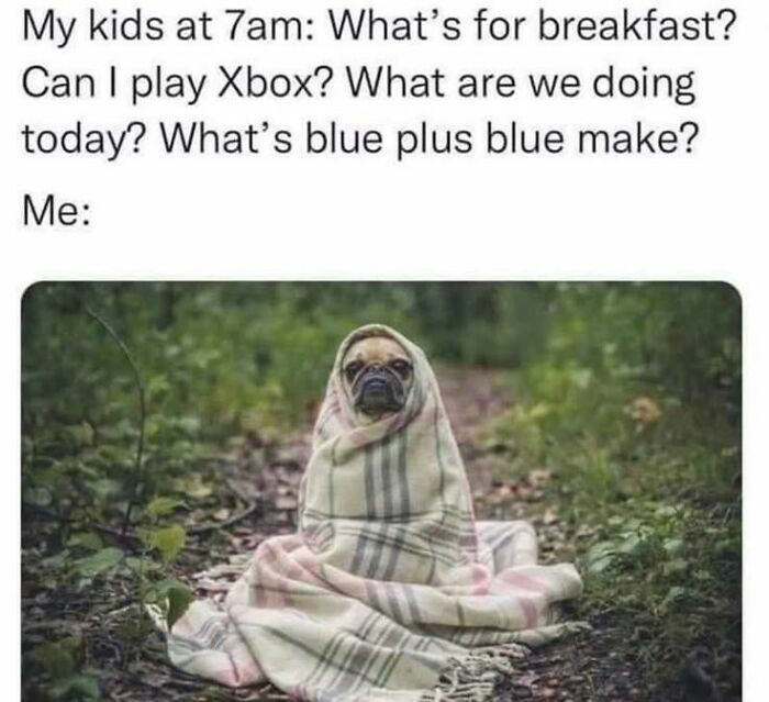 The 71 Randomly Hilarious Memes You Didn’t Know You Needed Today