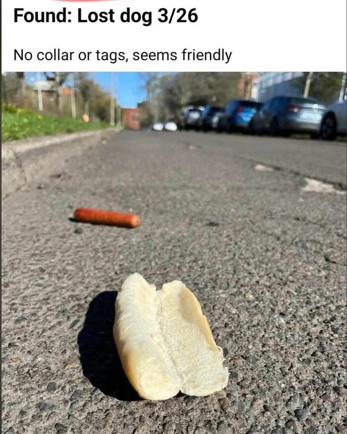 The 71 Randomly Hilarious Memes You Didn’t Know You Needed Today