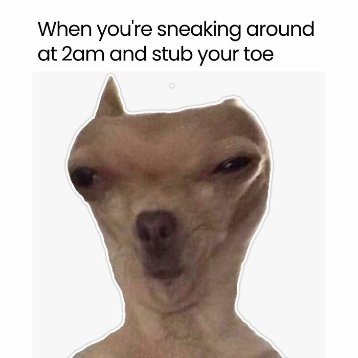 The 71 Randomly Hilarious Memes You Didn’t Know You Needed Today