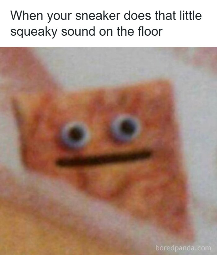 The 71 Randomly Hilarious Memes You Didn’t Know You Needed Today