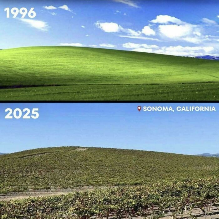 Windows XP Wallpaper From 1996 Vs. 2025 Shows How Nature Took Over After A Bug Out