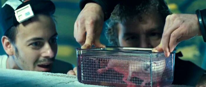 The Liquid Breathing Tech In The Movie 'The Abyss' Actually Exists
