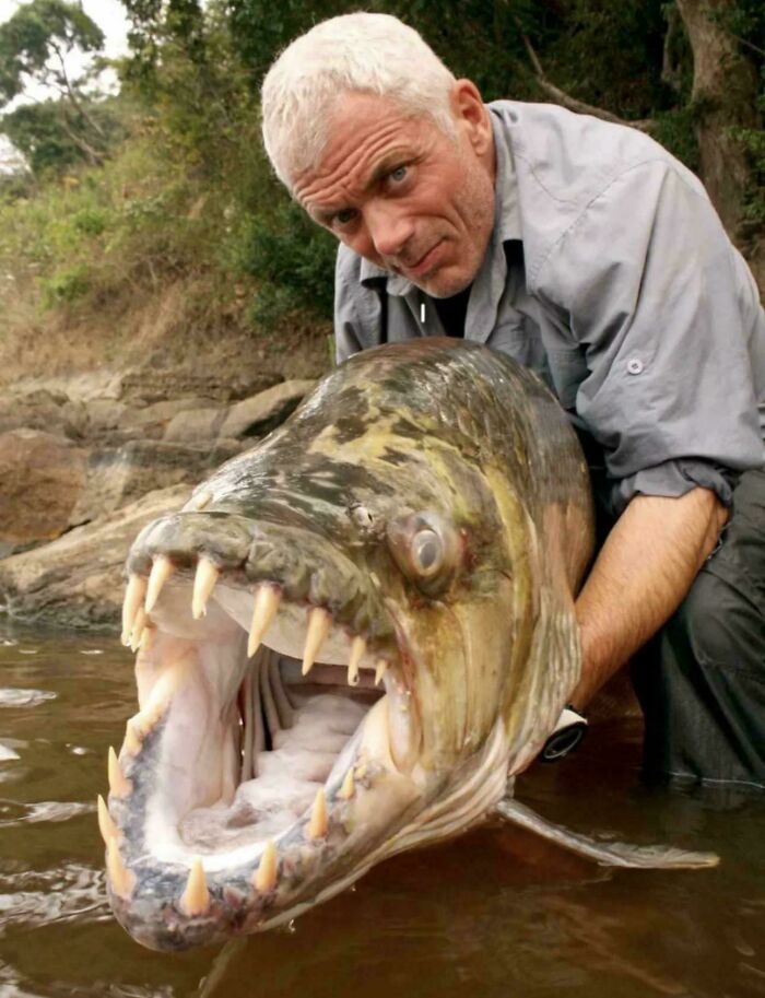 ‘River Monsters’ Ended Because The Host Had Caught Every Major Freshwater Fish Species On Earth