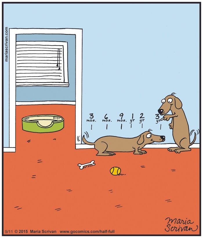 Wait, These Comics Actually Nailed Everyday Weirdness!