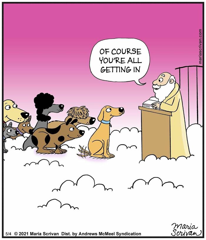 Wait, These Comics Actually Nailed Everyday Weirdness!