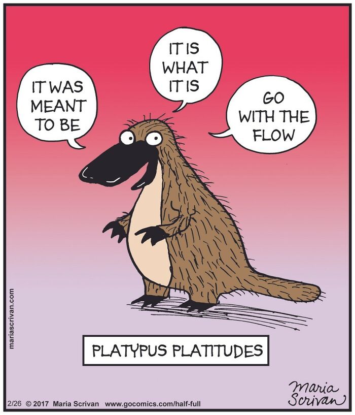 Wait, These Comics Actually Nailed Everyday Weirdness!