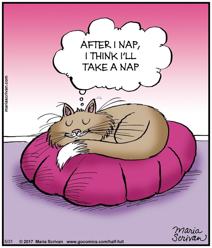 Wait, These Comics Actually Nailed Everyday Weirdness!