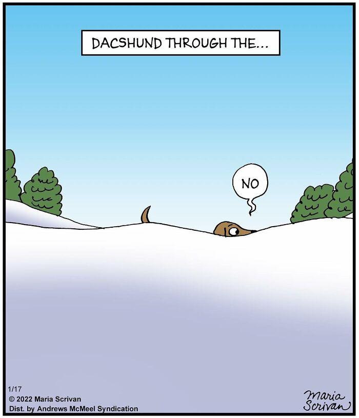 Wait, These Comics Actually Nailed Everyday Weirdness!