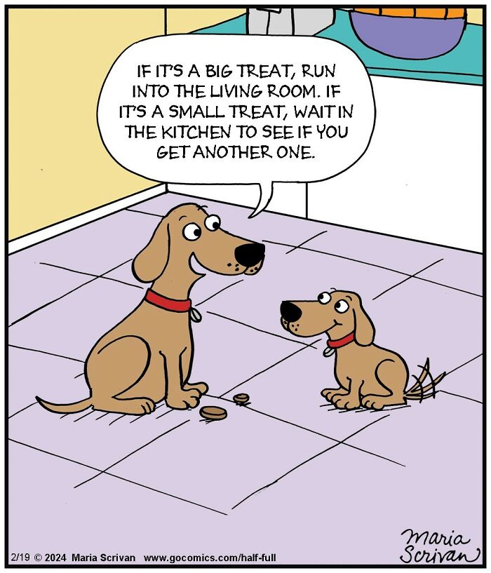 Wait, These Comics Actually Nailed Everyday Weirdness!