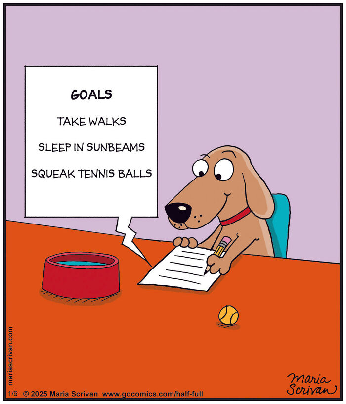 Wait, These Comics Actually Nailed Everyday Weirdness!