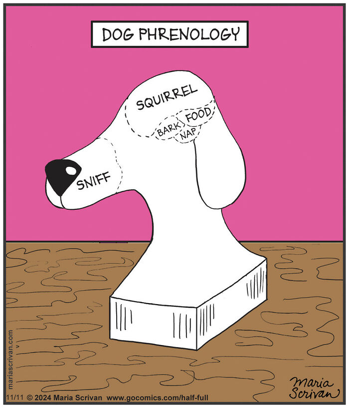Wait, These Comics Actually Nailed Everyday Weirdness!