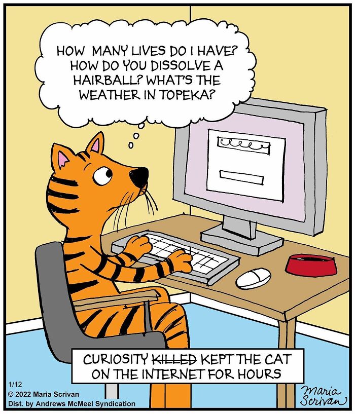 Wait, These Comics Actually Nailed Everyday Weirdness!