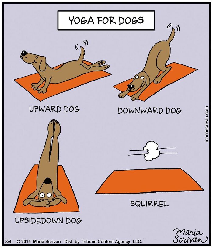 Wait, These Comics Actually Nailed Everyday Weirdness!