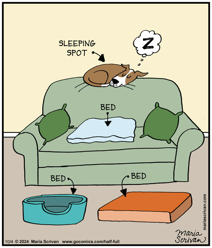 Wait, These Comics Actually Nailed Everyday Weirdness!